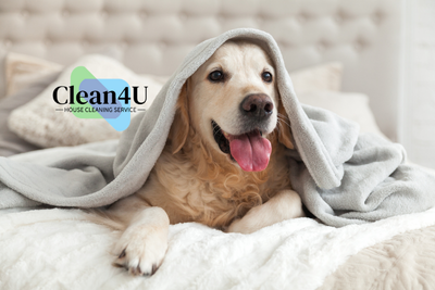 3 - Pet Home
